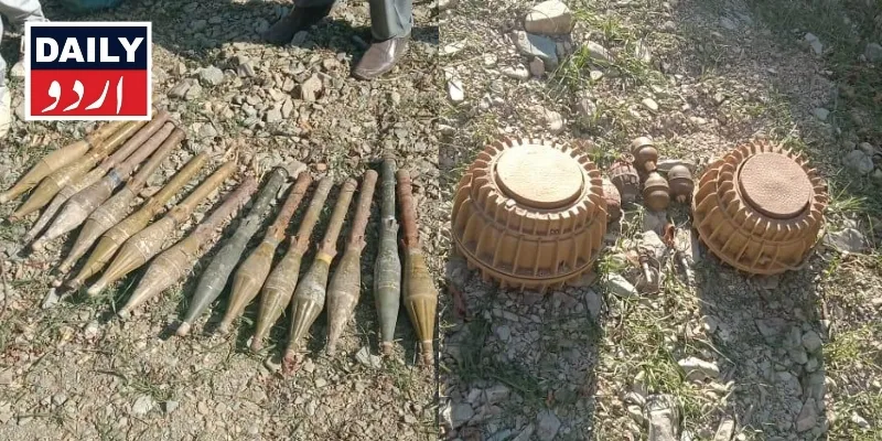 دہشتگردی