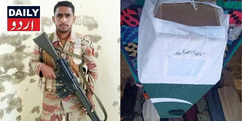 دہشتگردی