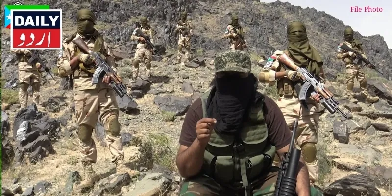 دہشتگردی