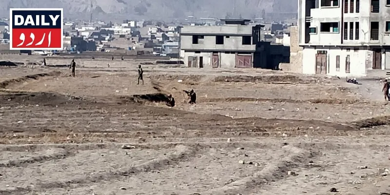 دہشتگردی