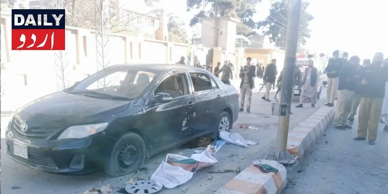دہشتگردی