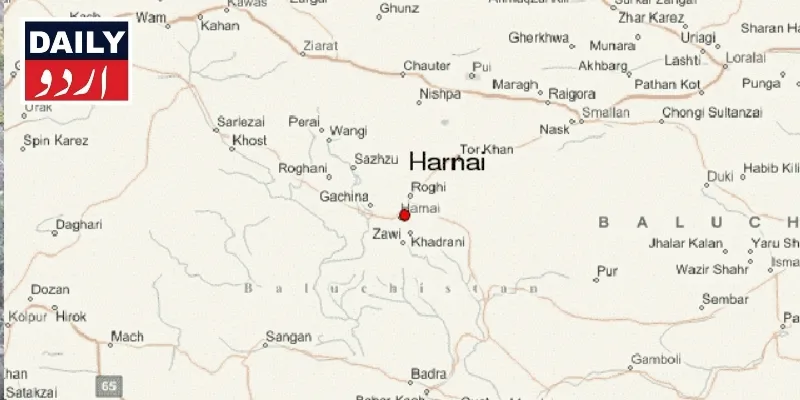 دہشتگردی