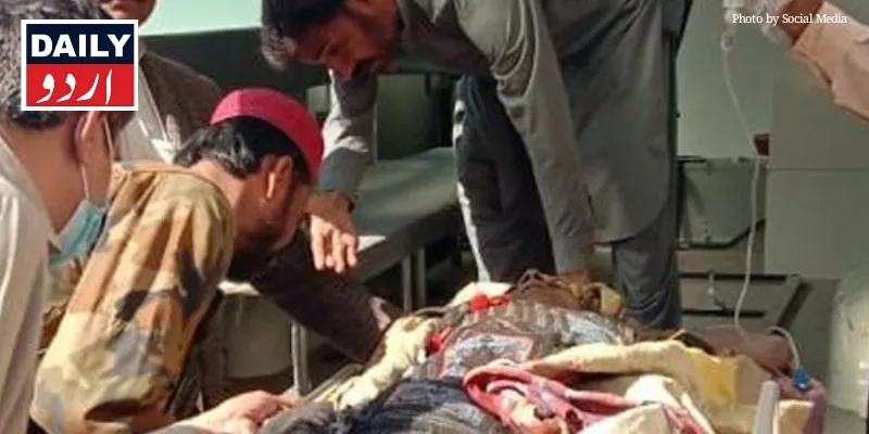 دہشتگردی