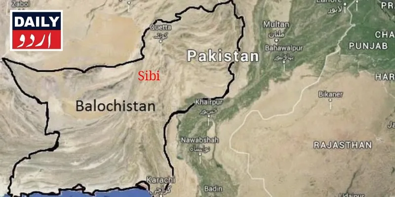 دہشتگردی