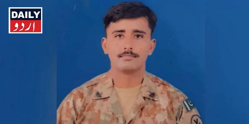 دہشتگردی
