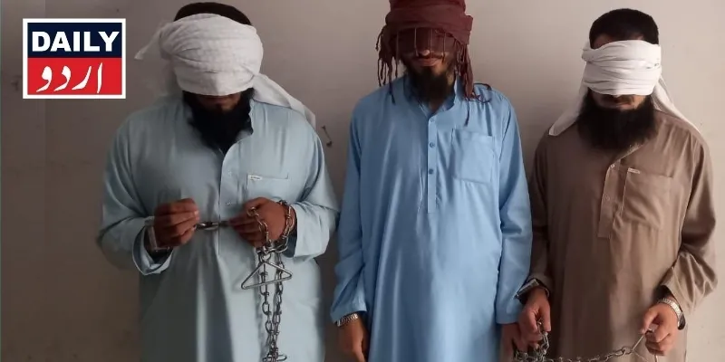 دہشتگردی
