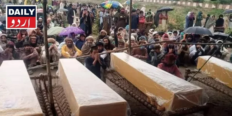 دہشتگردی
