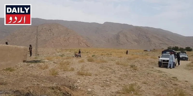 دہشتگردی