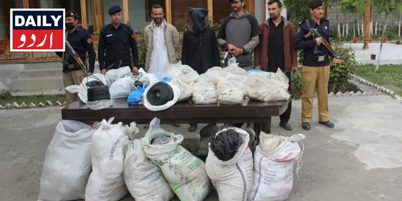 دہشتگردی