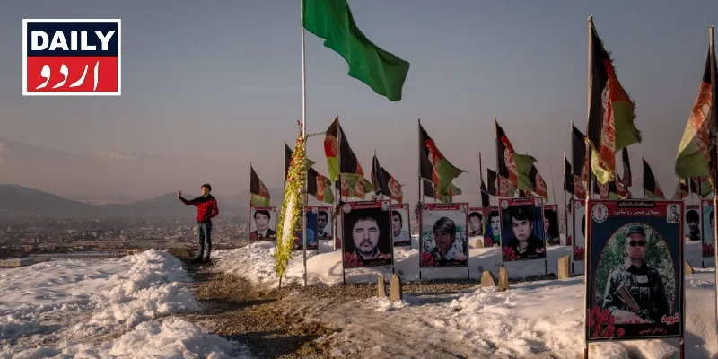 دہشتگردی