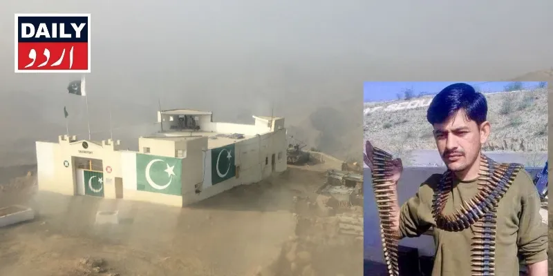 دہشتگردی