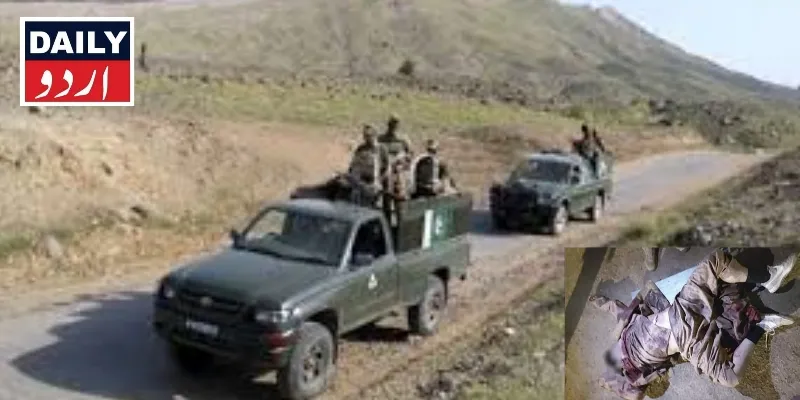 دہشتگردی