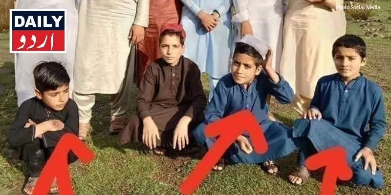 دہشتگردی
