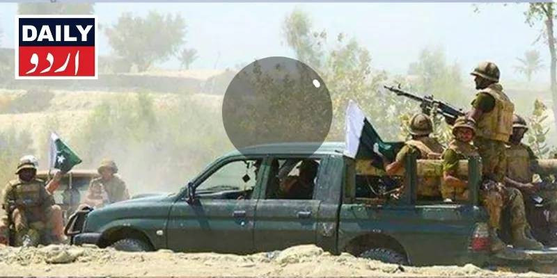 دہشتگردی