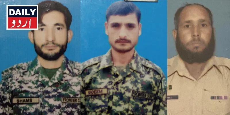 دہشتگردی