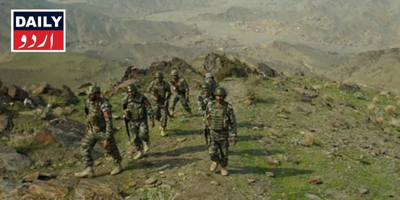 دہشتگردی