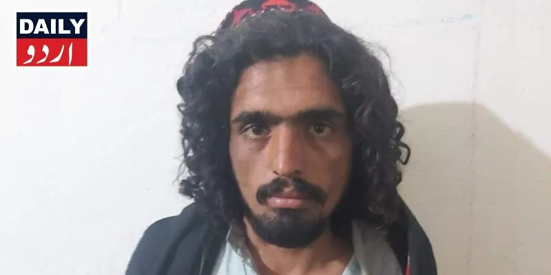 دہشتگردی
