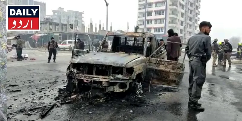 دہشتگردی