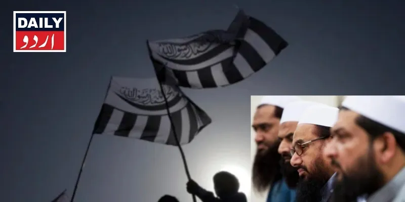 کورٹس