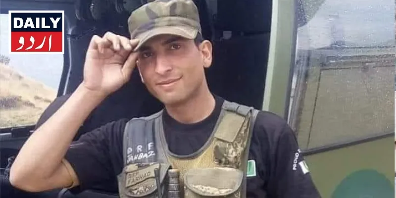 دہشتگردی