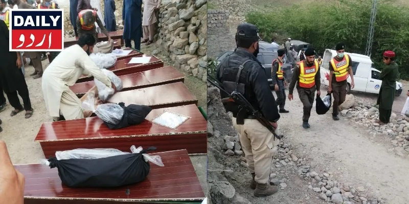 دہشتگردی