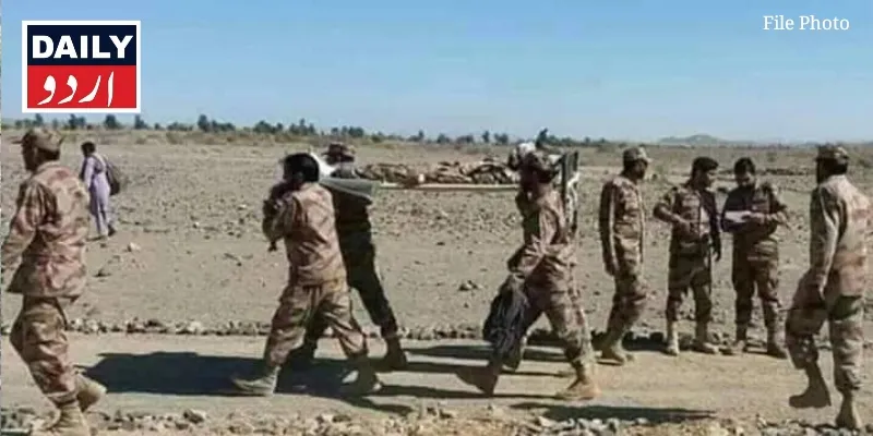 دہشتگردی