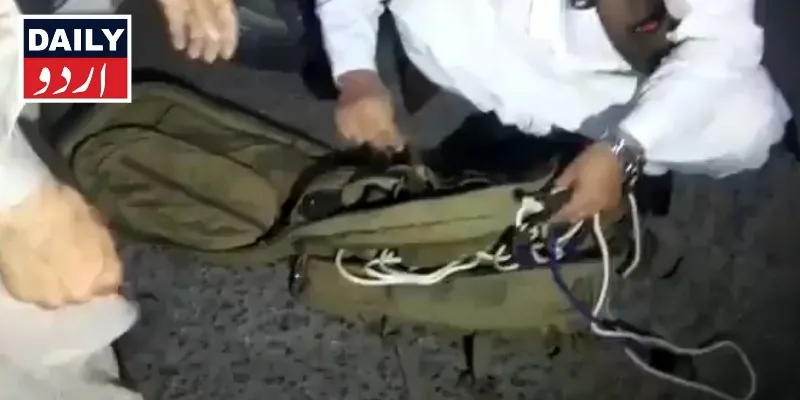 دہشتگردی