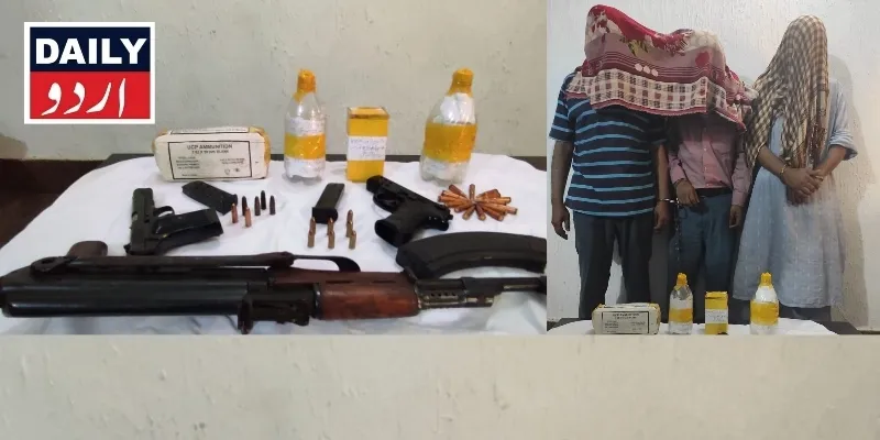 دہشتگردی