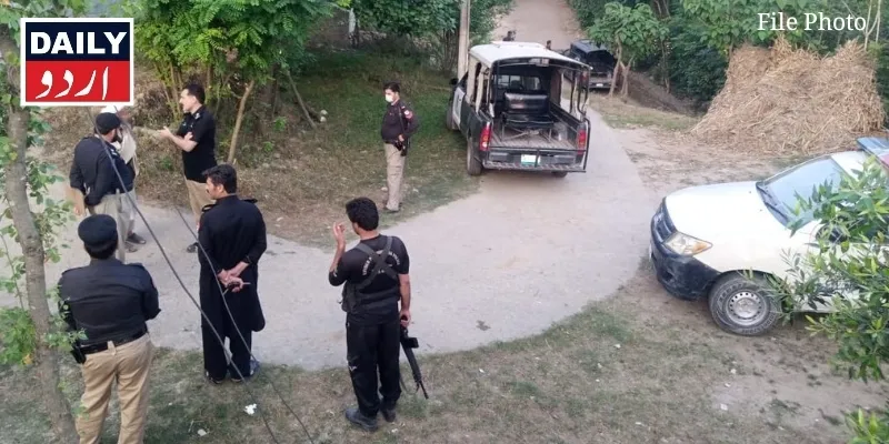 دہشتگردی