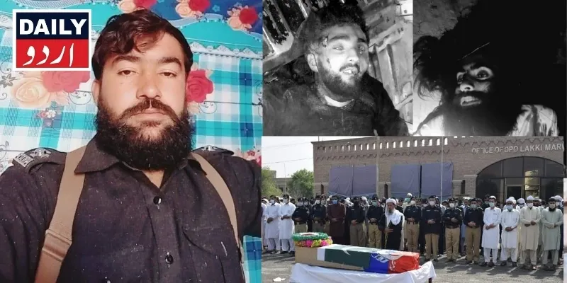 دہشتگردی