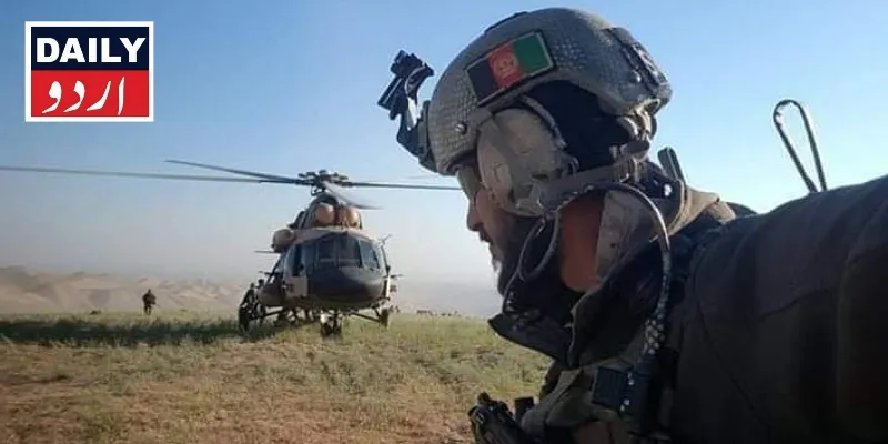 دہشتگردی