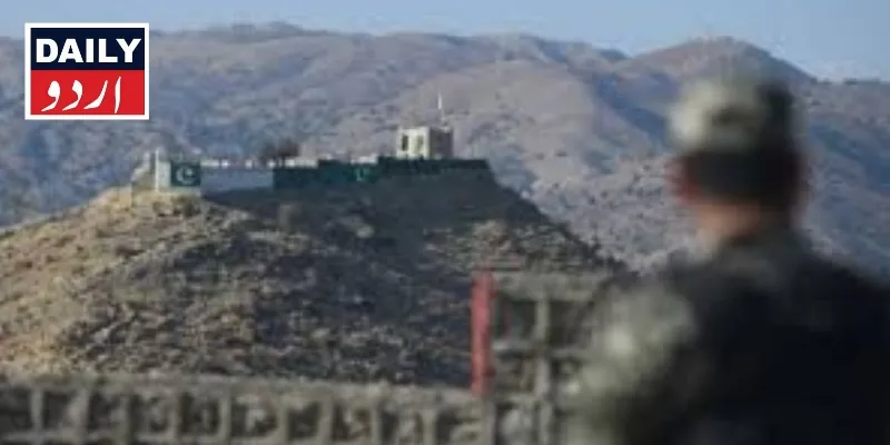 دہشتگردی
