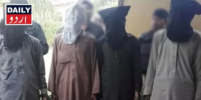 دہشتگردی