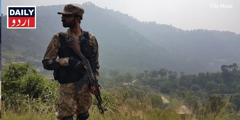 دہشتگردی