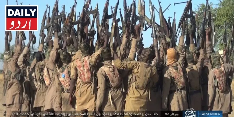دہشتگردی