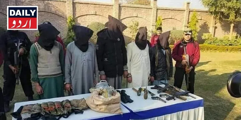 دہشتگردی