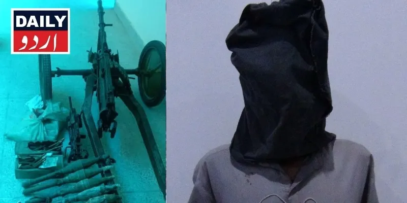 دہشتگردی