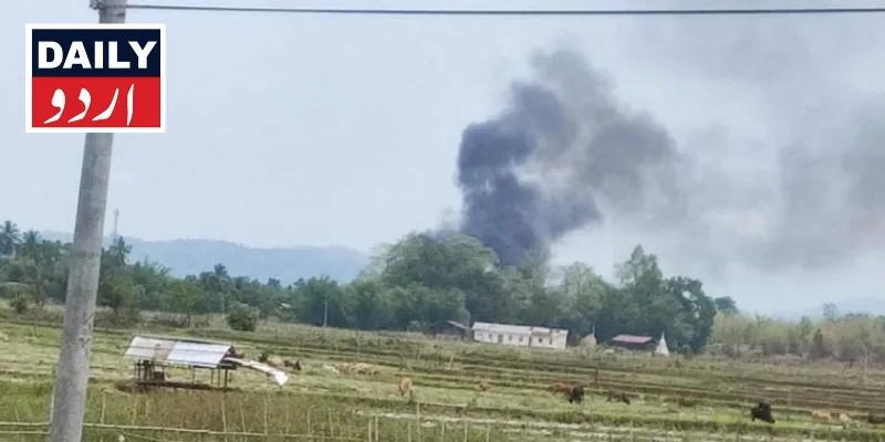 دہشتگردی