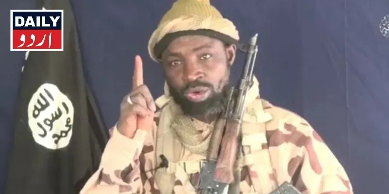 دہشتگردی