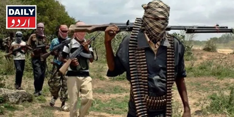 دہشتگردی