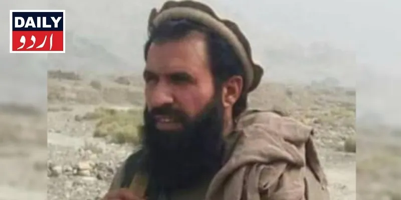 دہشتگردی