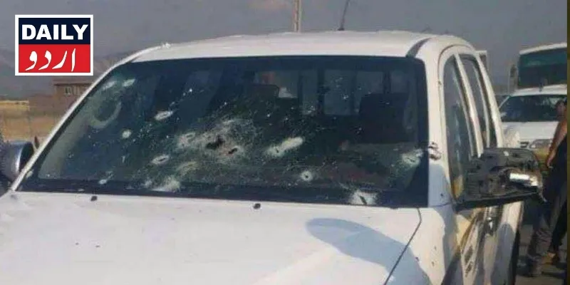 دہشتگردی