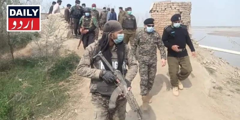 دہشتگردی