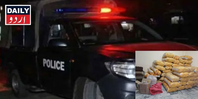 دہشتگردی