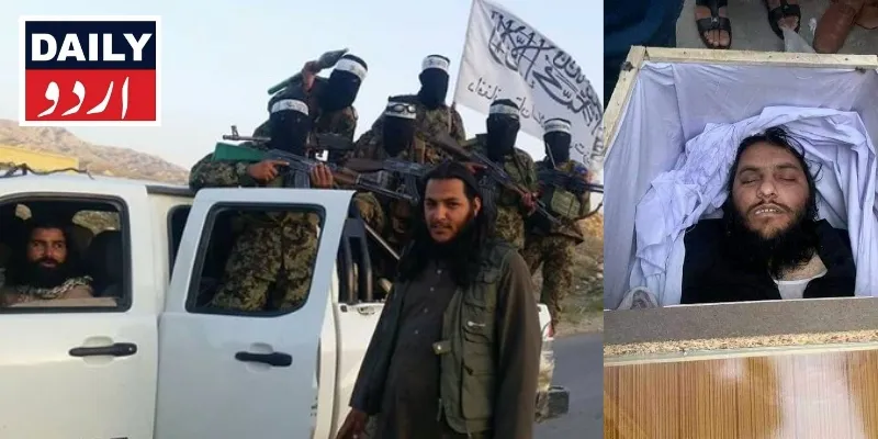 دہشتگردی