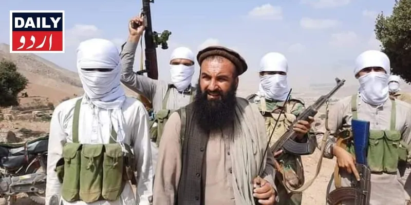 دہشتگردی