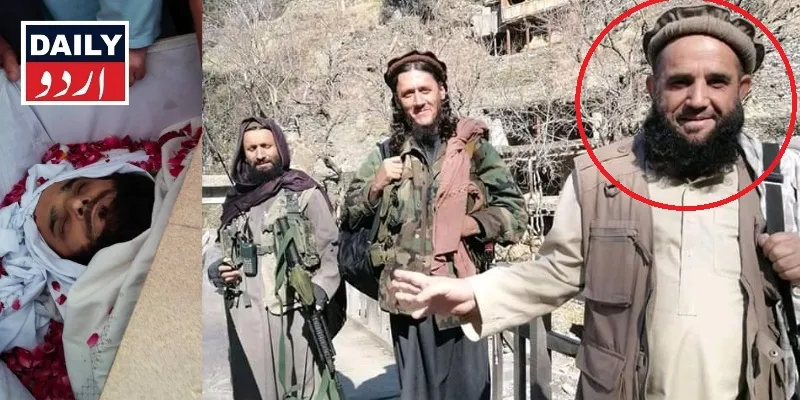 دہشتگردی