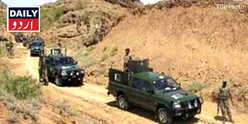 دہشتگردی