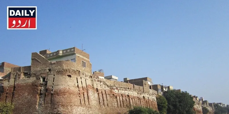 کرائمز