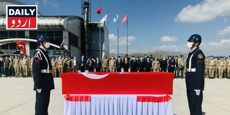 دہشتگردی